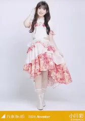 【中古】生写真(坂道シリーズ) 小川彩/全身・真夏の全国ツアー2024衣装2/「乃木坂46 2024.November」WebShop 限定ランダム生写真