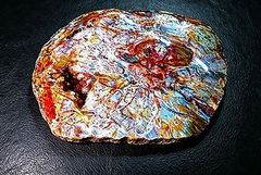 【新品】    天然石（原石） 天然化石珪化木両面研磨10000分の1三畳紀標本鉱物原石銘石インテリアオブジェ超巨大17kg★580mm 26101517 