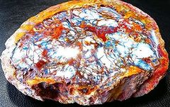 【新品】    天然石（原石） 天然化石珪化木両面研磨10000分の1三畳紀標本鉱物原石銘石インテリアオブジェ超巨大9kg★300mm 26101530 