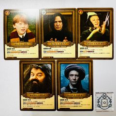 MTG【JP】ティ・チャラ王//揺るがぬ希望、ブラックパンサー/King T