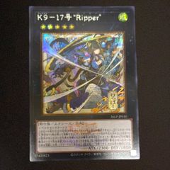 遊戯王 レインボー・ネオス レリーフ アルティメットレア PSA9 PTDN