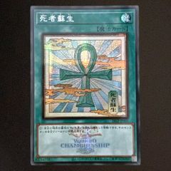 遊戯王 レインボー・ネオス レリーフ アルティメットレア PSA9 PTDN
