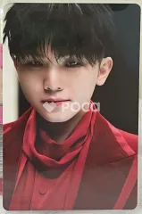 2026年最新】WOOZI rubyの人気アイテム - メルカリ