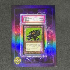 Black Lotus （International Edition）金枠 - メルカリ