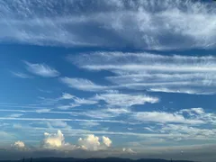 S.T's Favorite様　おまとめ