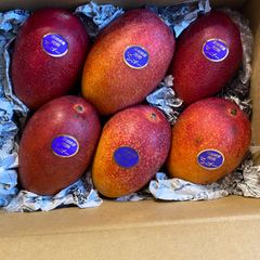 訳あり宮崎完熟マンゴー 6玉約2.3kg - メルカリ