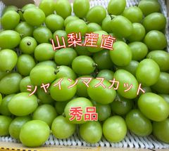 大粒】農家直送 朝採り シャインマスカット 粒売り 約1kg - メルカリ