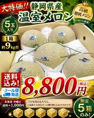 No.4 つがる市産 メロン 秀品 5玉 レノン 公式WEBショップ