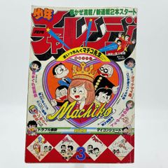非売品◇激レア◇3人平等ヒム子ーズBIGステッカー ビックリマン