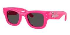 RAY-BAN WAYFARER PUFFER サングラス