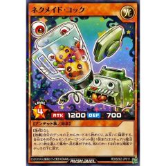 ☆旧アジア☆トラップ処理班Aチーム【レリーフ】{RDS-AE033