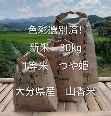 食品 色彩選別済み！1等米 新米 20Kg 大分県産 ひのひかり 山香