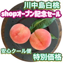 川中島白桃 3kg 箱入り 農家直送 クール便 - メルカリ