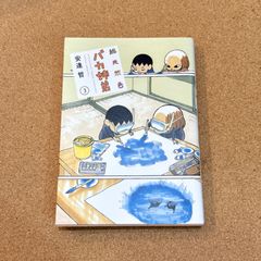 総天然色 バカ兄弟 1、2、3巻 初版セット 安達哲 - メルカリ