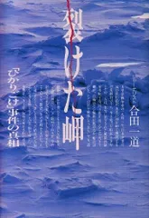 裂けた岬: ひかりごけ事件の真相 (ノンフィクションブックス)