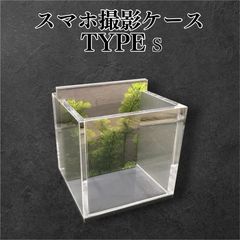 五藤めだか】選別特化AB品(グレー) メダカ用 ケース 撮影 横見 - メルカリ
