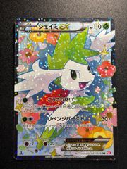 スイクン ポケパーク プレミアムファイル - メルカリ
