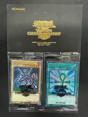 遊戯王 WCS2019 黒封筒 真紅眼の黒竜 レッドアイズ プロモ 9000枚限定
