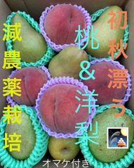 減農薬栽培ゆーこプロフ必読 - メルカリShops