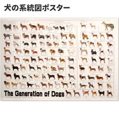 ポスター 犬の系統図 The Dog Generation B1サイズ - メルカリ