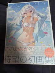 d*3様 mignon画集 NUMMY TUMMY & YUMMY TUMMY - メルカリ