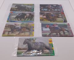 競馬カード THOROUGHBRED HORSE COLLECTION ２０２３～２０２５年 優勝馬セット ブレイディヴェーグ ドゥレッツァ メイショウハリオ ファストフォース ニシノデイジー フォーエバーヤング エコロデュエル⑧