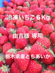 栃木県産 完熟冷凍いちご 6kg とちあいか - メルカリ