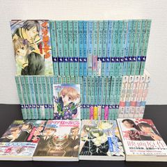 期間限定お値下げ！早い者勝ち！ マリア様がみてるシリーズ 全49冊