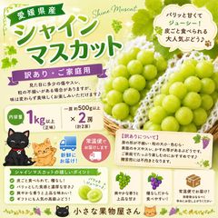 即購入OK！希少出品！ムラマツ製菓 元祖ボンボンキャンディ メロン