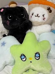 NCT WISH リョウ キャラクターバッグ ぬいぐるみ大 ソウルコン - メルカリ