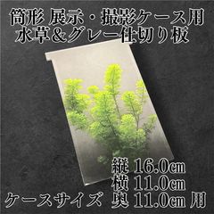 五藤めだか】展示販売AB品(黒) メダカ用 ケース 撮影 横見 - メルカリ