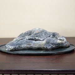和歌山 古谷石 超希少 - メルカリ