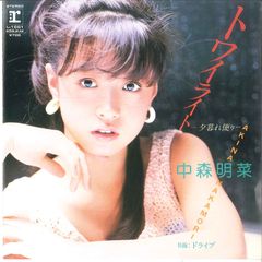 加藤有紀 トワイライトドリーム レコード シティポップ コレクターズ
