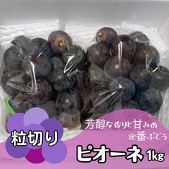 ひぃ様専用 クール便 岡山ピオーネ きれいな家庭用2キロ - メルカリ