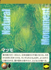 EG91 ナチュラルモニュメンツ Natural Monuments わがままな天然列島 日本の天然記念物 Natural monuments わがままな天然列島 カード カード マツモ トレカ 0007 海洋堂 小学館