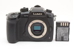 LUMIX Panasonic GH5 RD-SPM049 - メルカリ
