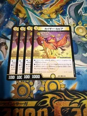 カイザールピア 4枚