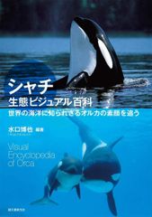 希少】開園40周年記念 鴨川シーワールドのなかまたち シャチ オルカ