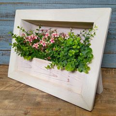 額縁 プランター イーゼル付き ガーデニング雑貨 多肉植物 - メルカリ