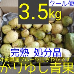 沖縄産ミニマンゴー見切り品 約4kg 処分価格 - メルカリ