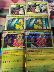 チコリータ ベイリーフ メガニウム おいしげる 2枚ずつ