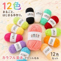 fogman 毛糸 編み物 並太 アクリル毛糸 カラフル 1玉10g 12色セット (マルチカラー, 約2mm)