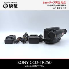 SONY ビデオカメラレコーダー ハンディカム video8 CCD-TR555 - メルカリ