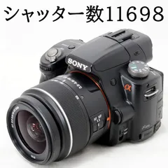 2026年最新】sony α55の人気アイテム - メルカリ