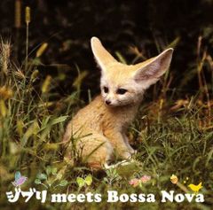 지브리 meets Bossa Nova 옴니버스, 나카츠카 타케 with 토키 마코, viola with Kaori Okano [CD] (중고)
