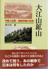 大江山鉱山: 中国人拉致・強制労働の真実