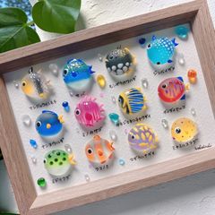 クーポンあり❣️ウミウシ図鑑❣️シーグラスアート お魚立体図鑑