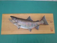 中禅寺湖レイクトラウト剥製 額縁入り 魚 標本 - メルカリ