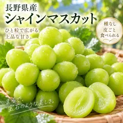 長野県産 シャインマスカット 約2kg アウトレット