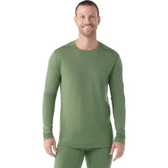 スマートウール メンズ トップス Tシャツ Smartwool Classic AllSeason Merino Base Layer Mens Fern Green グリーン